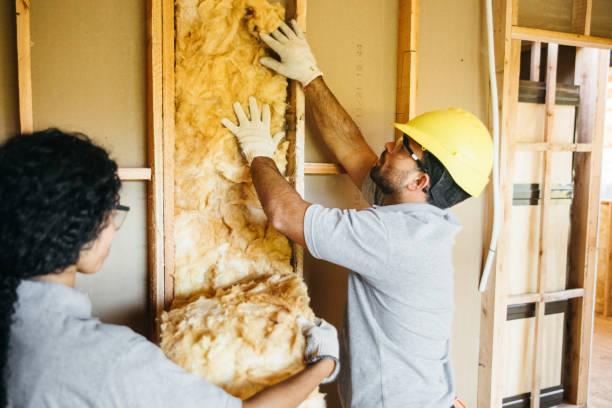 Best Insulation Repair Services  in Seaford, NY