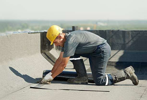 Best Insulation Replacement Services  in Seaford, NY